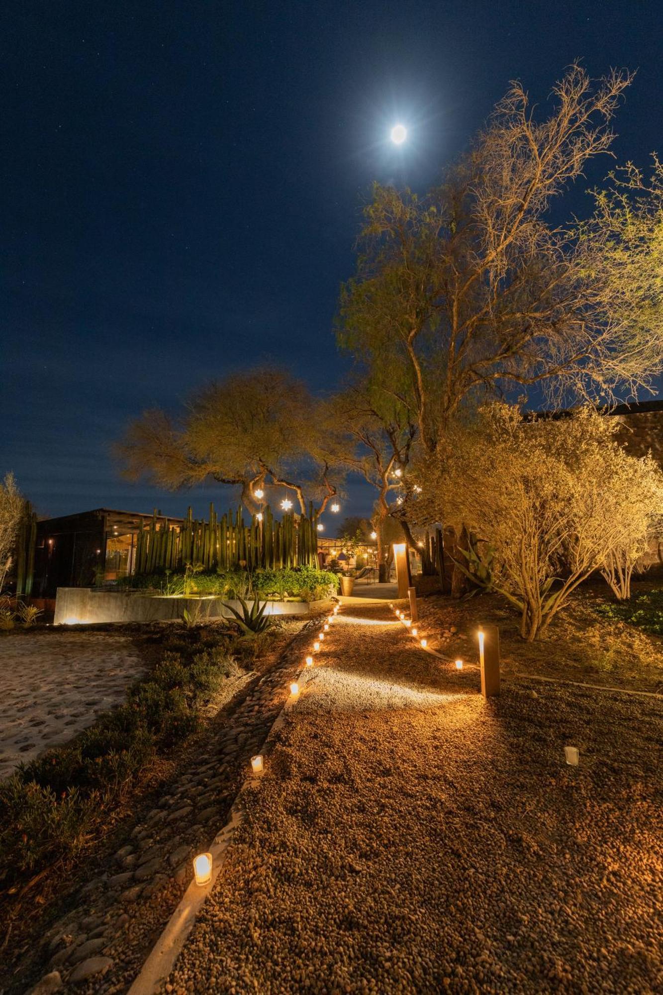 Our Habitas San Miguel De Allende Hotel